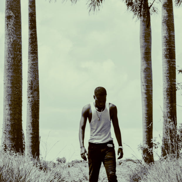 #audio_https://cdn.shopify.com/s/files/1/0791/9792/9747/files/Awaken.mp3?v=1690147638