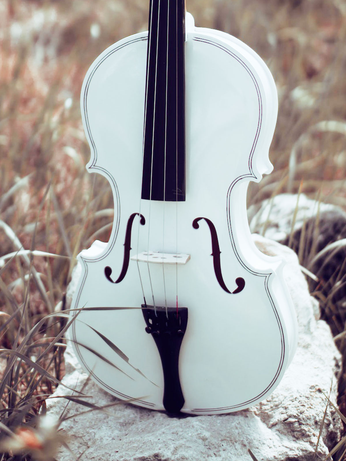 LA Strings SFX