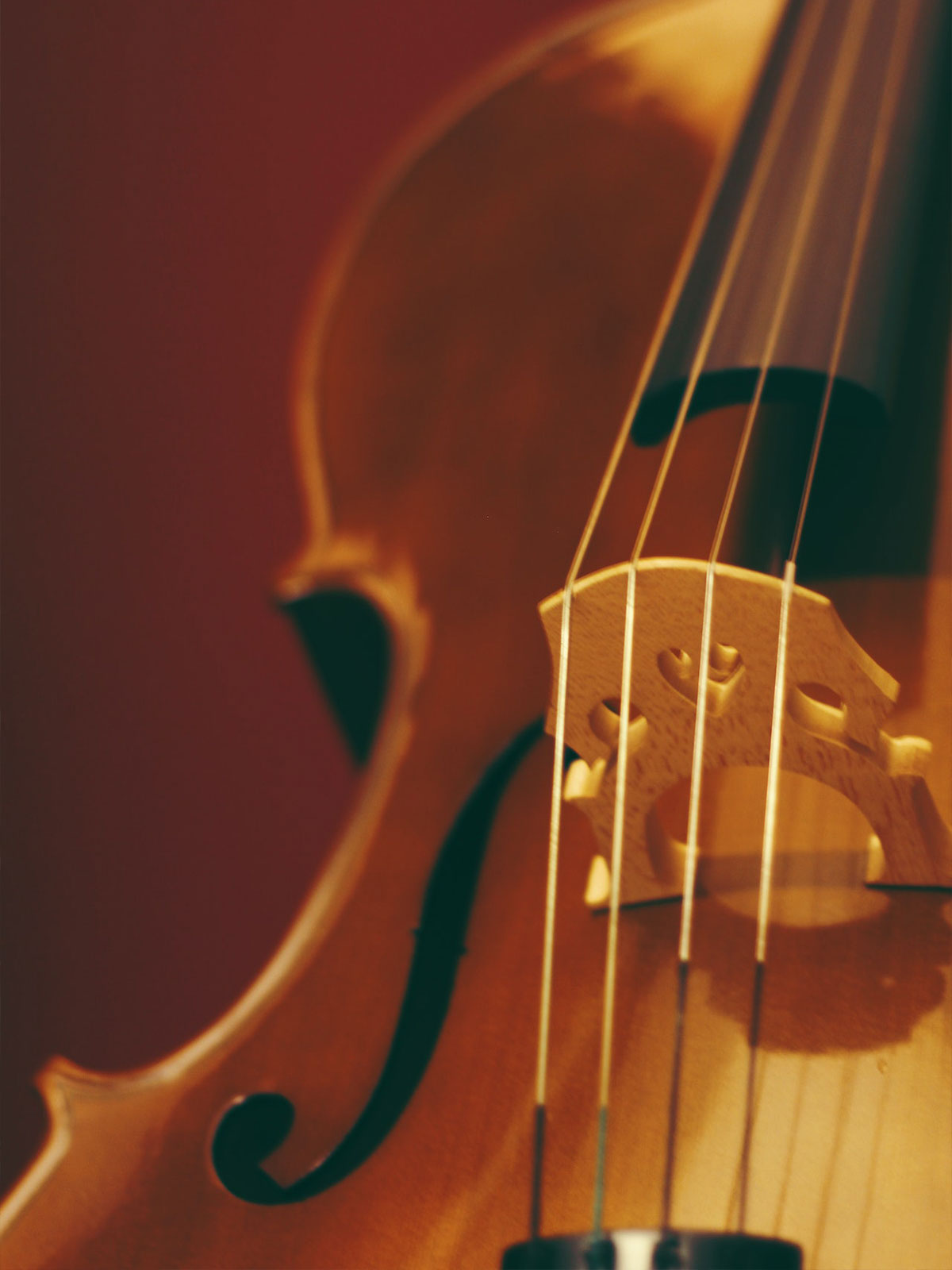 LA Strings Solo